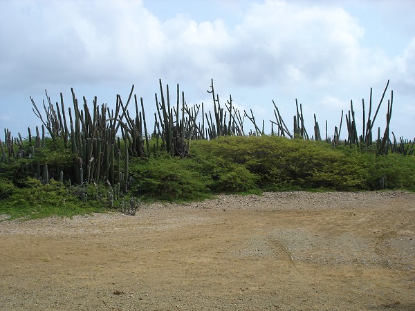 PJ4/OM1ATT Bonaire  Island