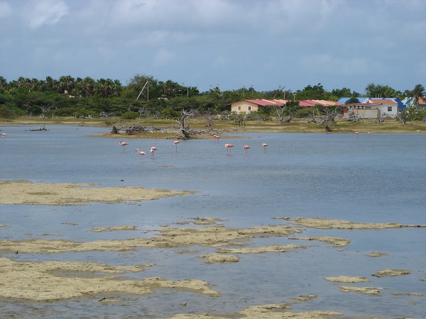 PJ4/OM1ATT Bonaire  Island