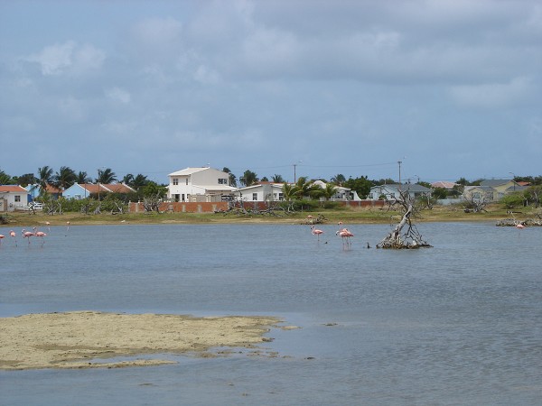 PJ4/OM1ATT Bonaire  Island