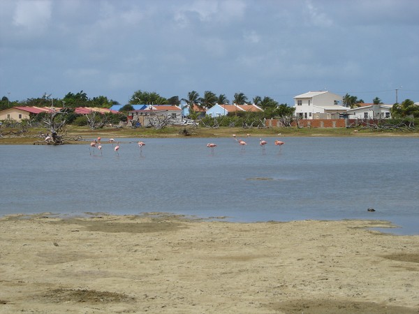 PJ4/OM1ATT Bonaire  Island