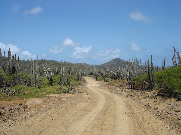 PJ4/OM1ATT Bonaire  Island