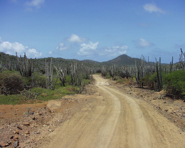 PJ4/OM1ATT Bonaire  Island