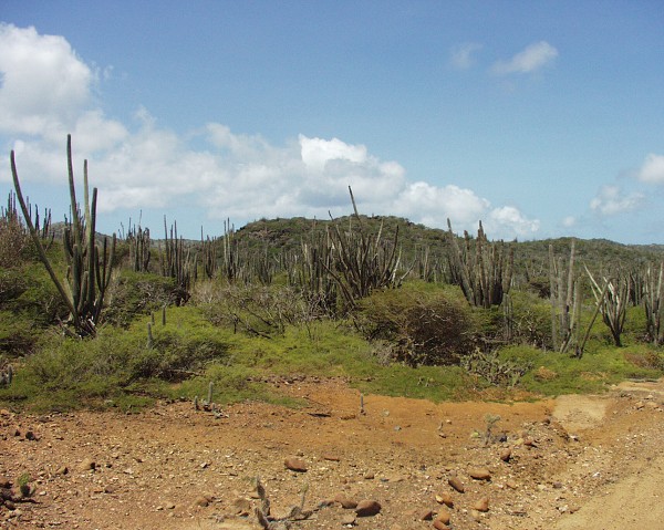 PJ4/OM1ATT Bonaire  Island