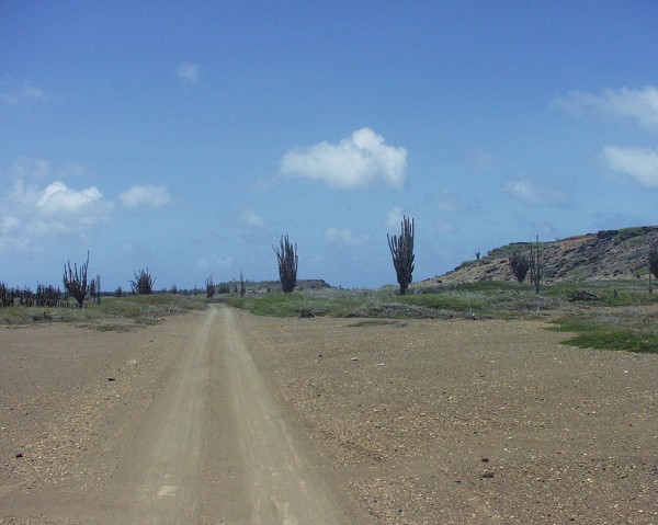 PJ4/OM1ATT Bonaire  Island