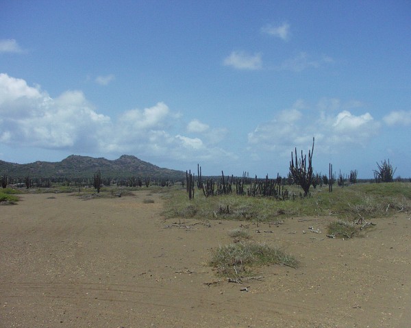 PJ4/OM1ATT Bonaire  Island