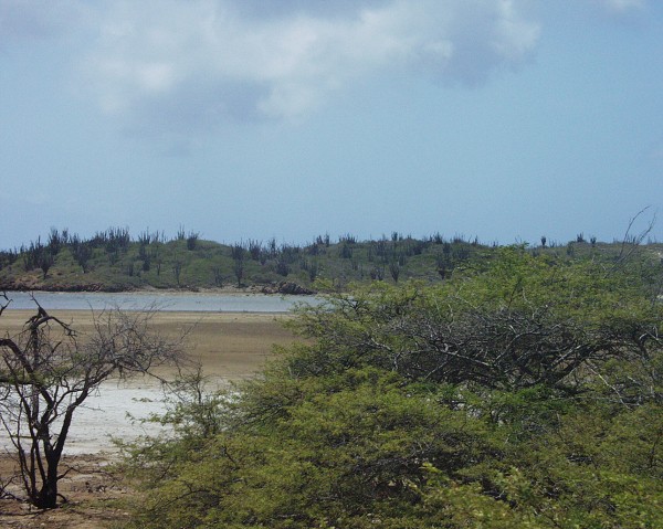 PJ4/OM1ATT Bonaire  Island