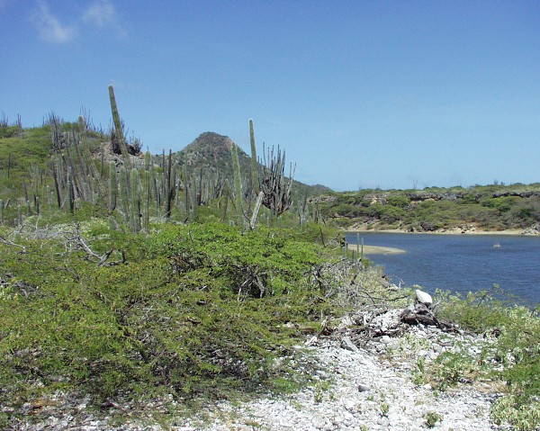 PJ4/OM1ATT Bonaire  Island