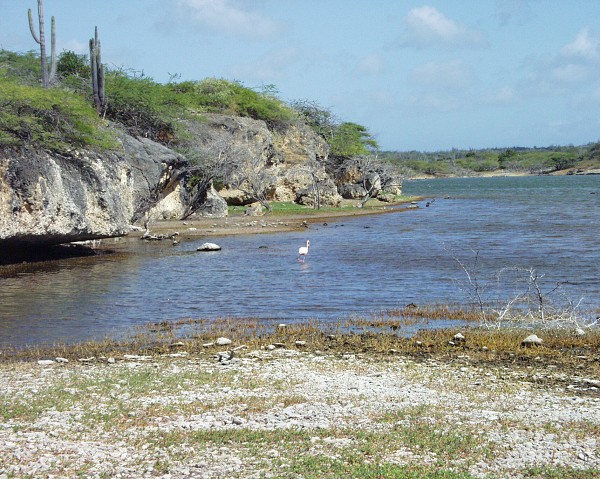 PJ4/OM1ATT Bonaire  Island