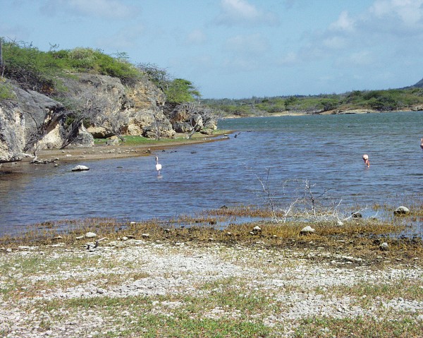 PJ4/OM1ATT Bonaire  Island