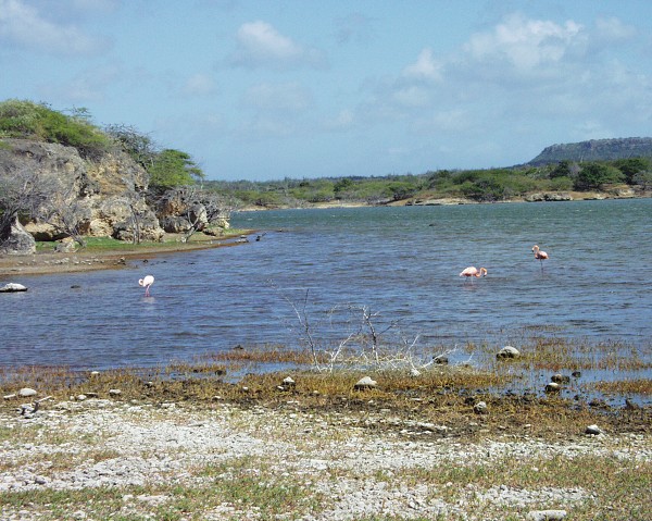 PJ4/OM1ATT Bonaire  Island