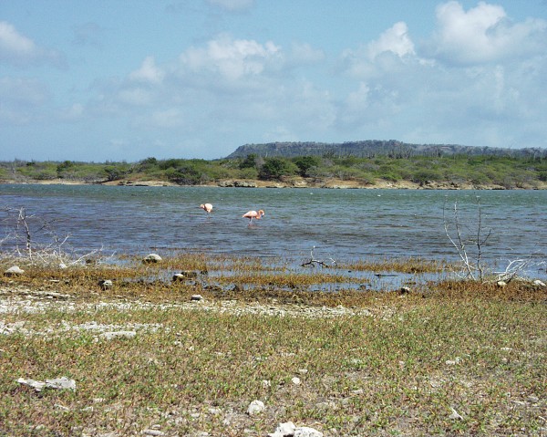 PJ4/OM1ATT Bonaire  Island