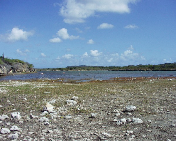 PJ4/OM1ATT Bonaire  Island